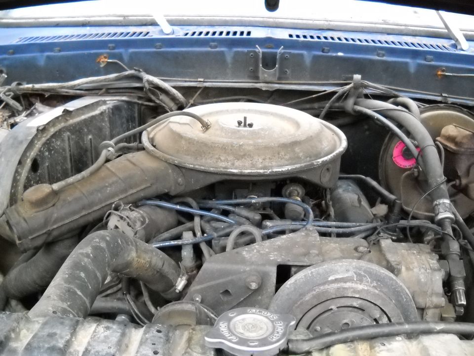 Engine bay with air cleaner and hoses visible