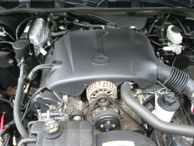 Engine bay of a 1998 Ford Crown Victoria, showing the 4.6L V8 engine with black plastic covers and visible alternator and belts