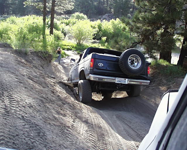 Good FLEX for a Stocker!
