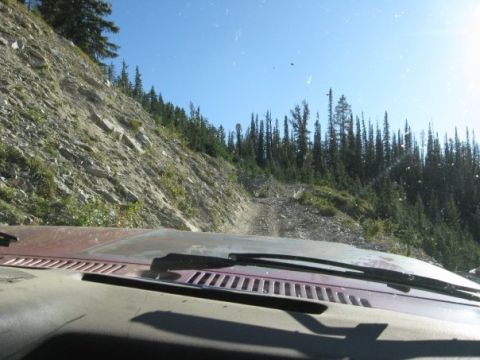 1981 Ford Bronco - View from inside a vehicle driving on a rough mountain road, with a steep, rocky slope to the left and dense pine forest ahead.