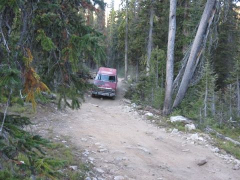 1981 Ford Bronco - A red van navigates a rough dirt road surrounded by dense forest.