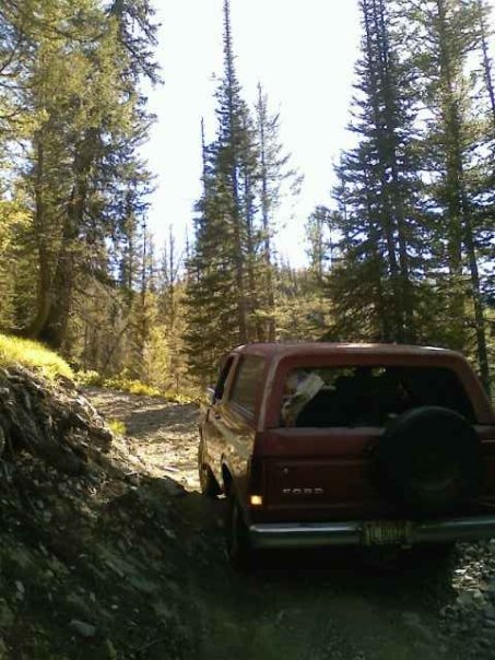 1981 Ford Bronco - A red 1981 Ford Bronco drives on a dirt road through a wooded area.