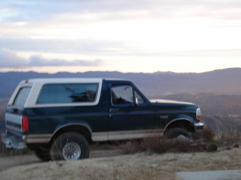 1993 Ford Bronco - Side view of a dark blue and white 1993 Ford Bronco parked on a hillside.