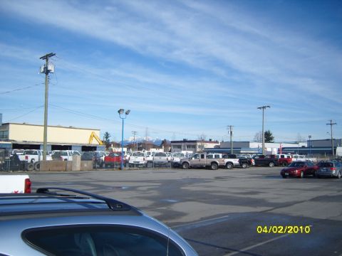 1989 Ford Bronco - A wide shot of a parking lot filled with various trucks and cars on a sunny day.