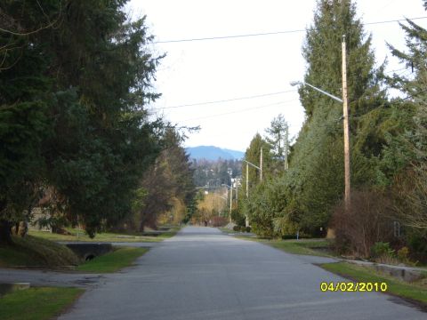 1989 Ford Bronco - A quiet suburban street scene with trees and mountains visible in the distance.