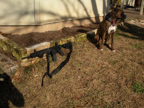 1996 Ford Bronco - A boxer dog sits patiently next to a rifle on a patch of dry grass.