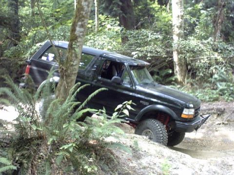 1995 Ford Bronco - A black 1995 Ford Bronco navigates a challenging off-road trail in a forest setting.