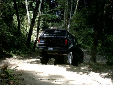 1995 Ford Bronco - Black 1995 Ford Bronco navigates a forest trail.