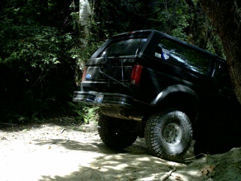 1995 Ford Bronco - This 1995 Ford Bronco is parked on a dirt road surrounded by trees.