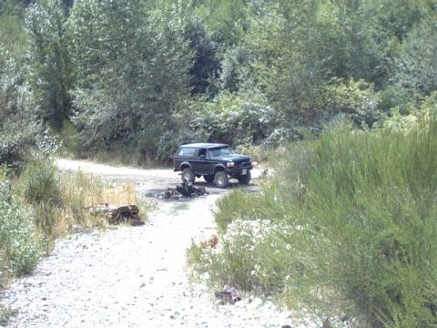 1995 Ford Bronco - A 1995 Ford Bronco is seen parked on a dirt road surrounded by dense foliage.