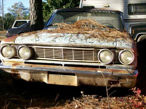 1964 Ford Fairlane photo