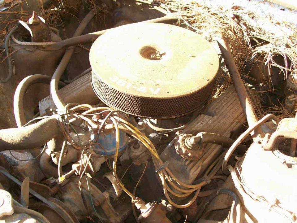 Dusty Ford V8 engine bay with a chrome 351-4V air cleaner and pine needles on the cowl