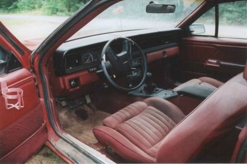 1984 Ford Thunderbird photo