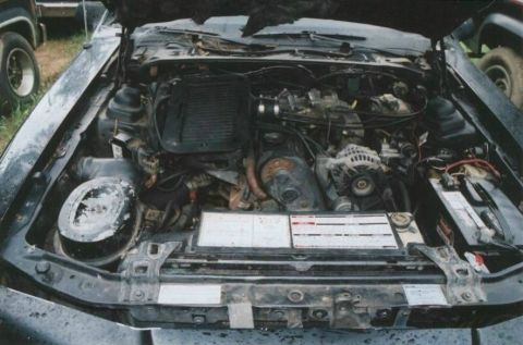 1987 Ford Thunderbird photo