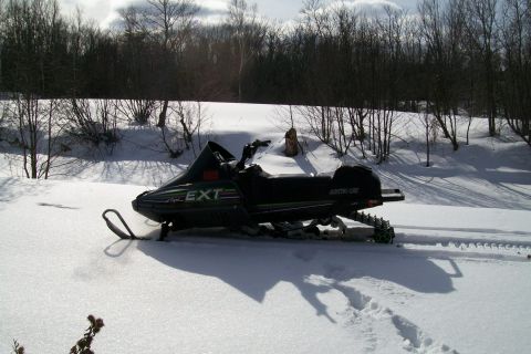 1990 Arctic Cat El Tigre EXT