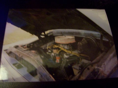 1967 Ford F-100 photo