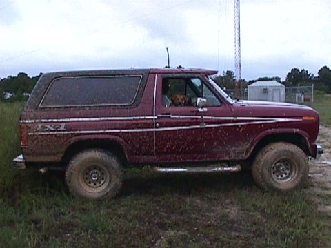 1984 Ford Bronco photo
