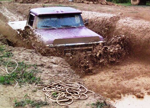 1978 Ford F-150 photo