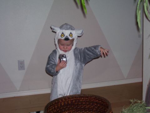 1991 Ford Bronco - A child dressed as a lemur stands indoors, holding a small object.