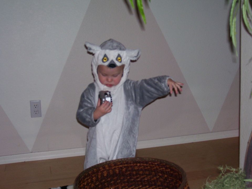 Child in a grey lemur costume holds a silver toy