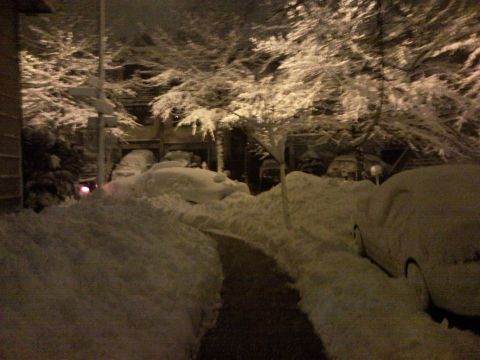 2007 Subaru Impreza - A heavy snowfall blankets parked cars and trees, creating a winter scene on a street.