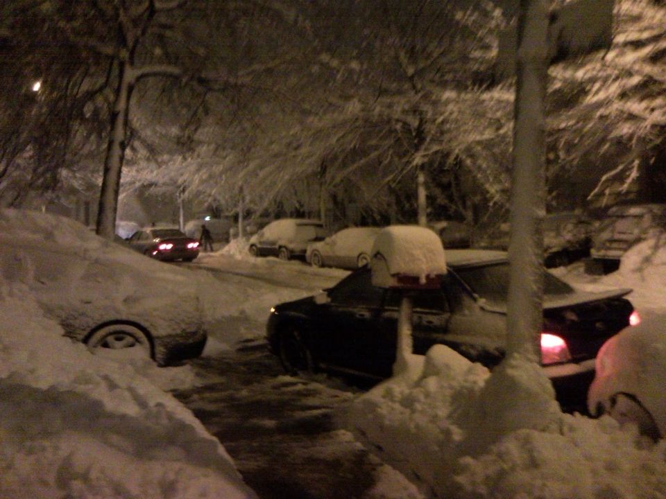 Cars covered in snow on a street at night. Trees line the street, also covered in snow