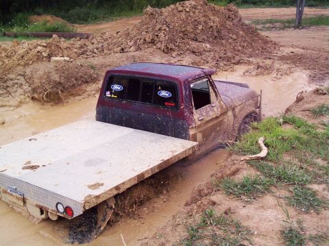 1978 Ford F-150 photo