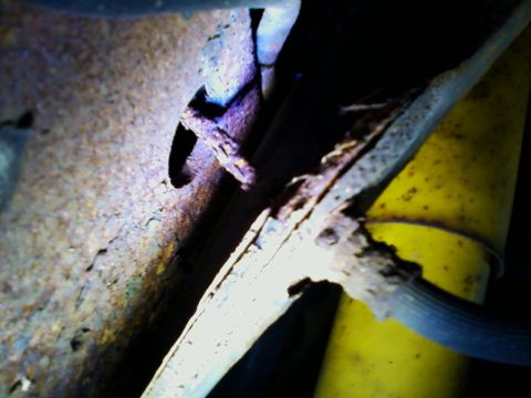 1990 Ford Bronco - Close-up view of rusted vehicle components, including a yellow shock absorber and black hose.