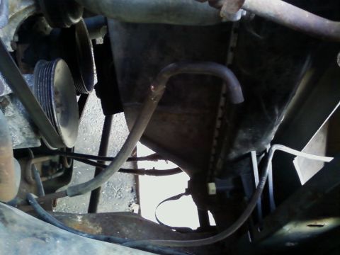 1990 Ford Bronco - Close-up of radiator and hoses in an engine bay.