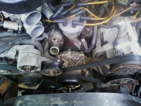 1990 Ford Bronco - Close-up view of an engine bay, showing various components like belts, pulleys, and the distributor cap.