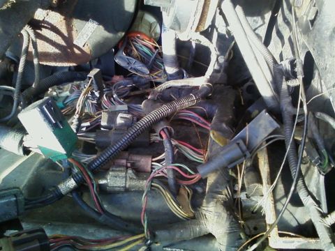 1990 Ford Bronco - A complex engine wiring harness is visible, showing numerous wires and connectors in disarray.