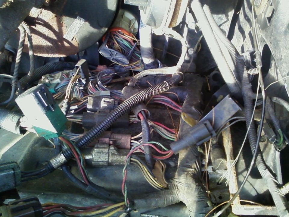 Engine wiring harness with many colorful wires and connectors