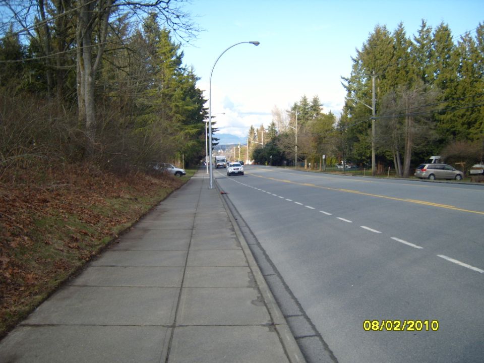 Empty suburban roadside sidewalk along a multi-lane road with trees