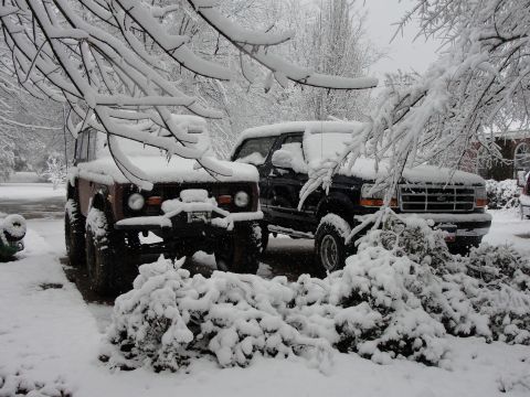 1967 Ford Mustang - Two SUVs are parked in a snowy driveway, partially obscured by snow-covered branches.