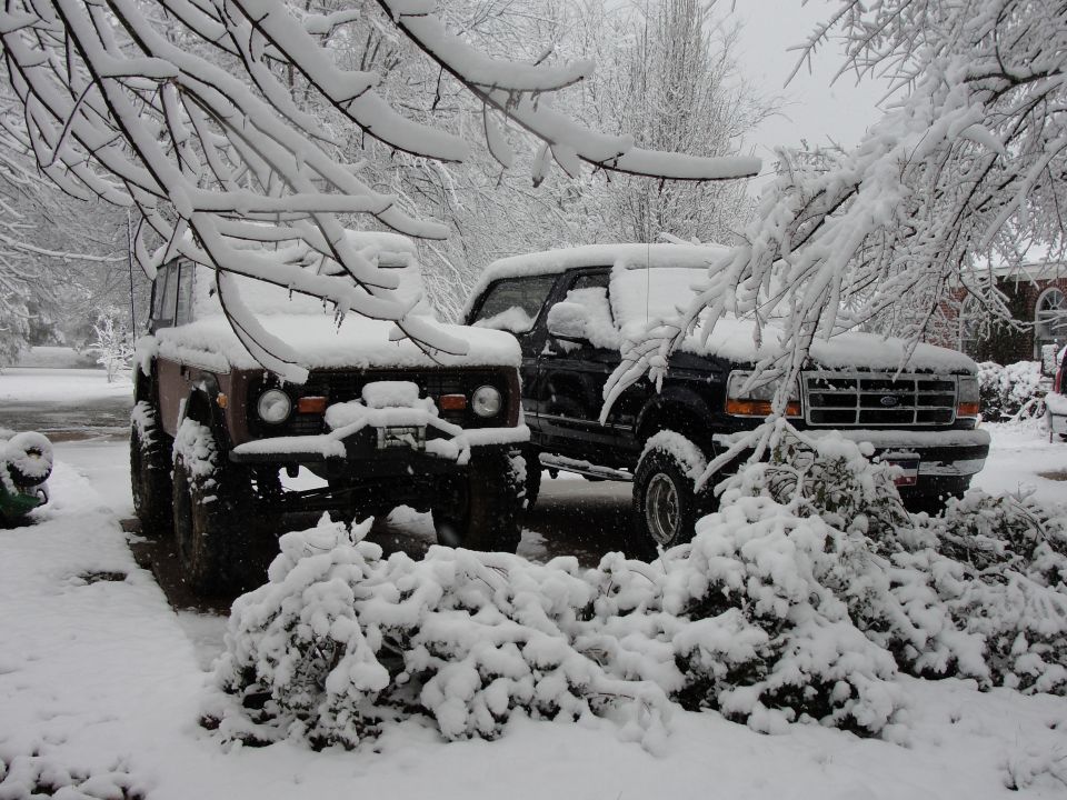 Two SUVs, one brown and one black, parked in snow with branches overhead