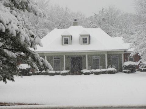 1967 Ford Mustang - A snow-covered house stands under a winter sky, with a large, snow-laden tree branch obscuring the left side of the frame.
