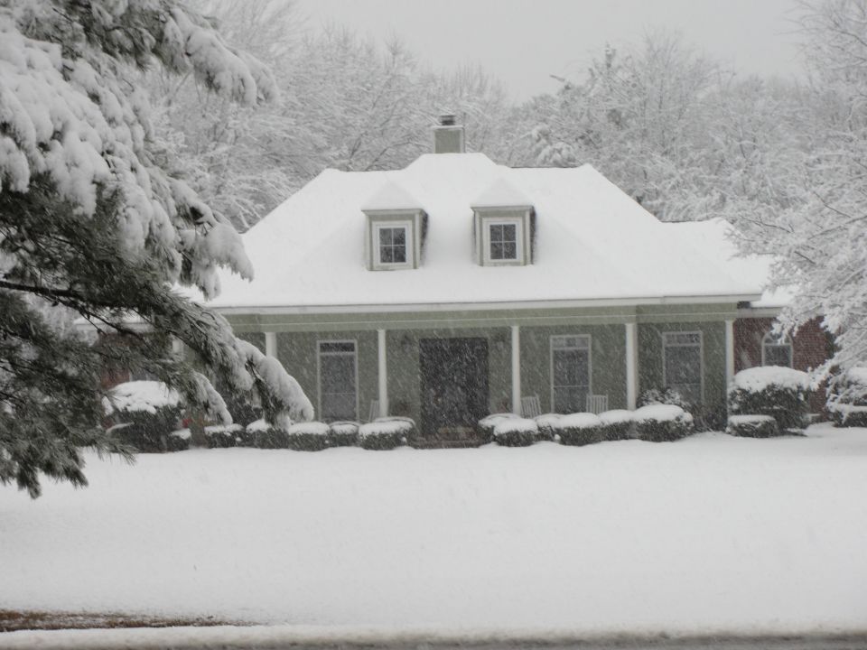 House covered in snow with a large tree branch in the foreground
