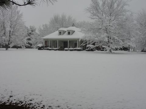 1967 Ford Mustang - A house sits on a snow-covered lawn surrounded by snow-laden trees under a cloudy sky.
