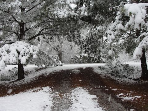 1967 Ford Mustang - A winter scene with snow-covered trees and a lone figure visible on the road in the distance.