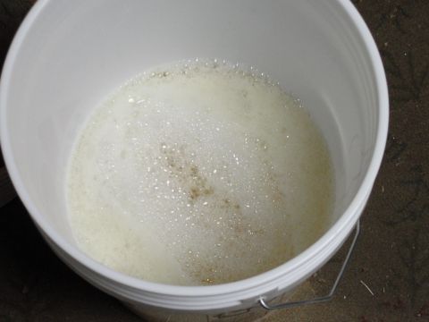1995 Ford Bronco - A white bucket contains soapy water with many bubbles on the surface.