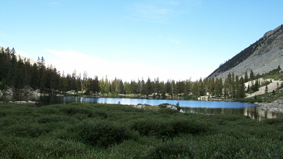 Alpine lake ringed by pine forest and rocky ridges with green meadow in the foreground