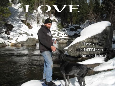 1970 Mercury Cougar - A man and his dog share a moment by a cold river, with the word "LOVE" emblazoned above.