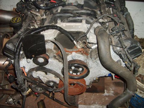 1993 Ford Crown Victoria - Close-up of an engine block showing the serpentine belt system and associated components.