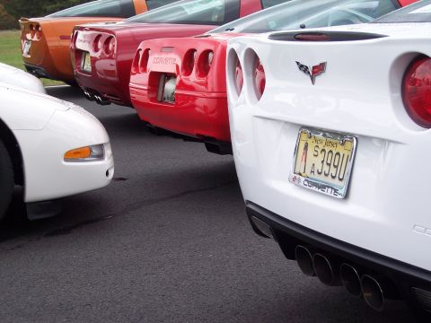 2006 Chevrolet Corvette - A line of Corvettes, including a white one with a New Jersey license plate, are parked together.