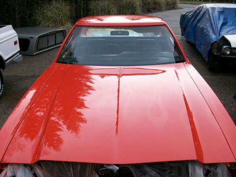 1973 Ford Ranchero - the "ghost-flames" turned out great, but they are really hard to get a photo of