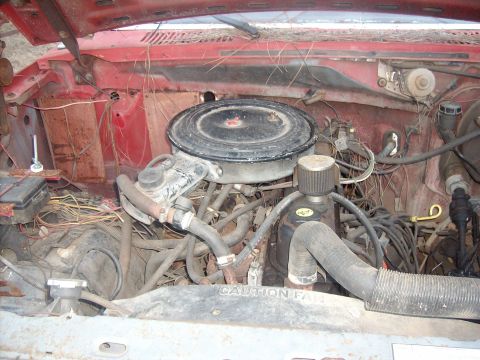 1985 Ford Bronco photo