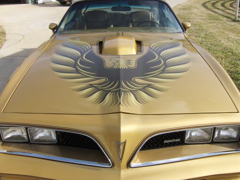 1978 Pontiac Trans Am - The front of a gold 1978 Pontiac Trans Am is shown with a large bird decal on the hood.