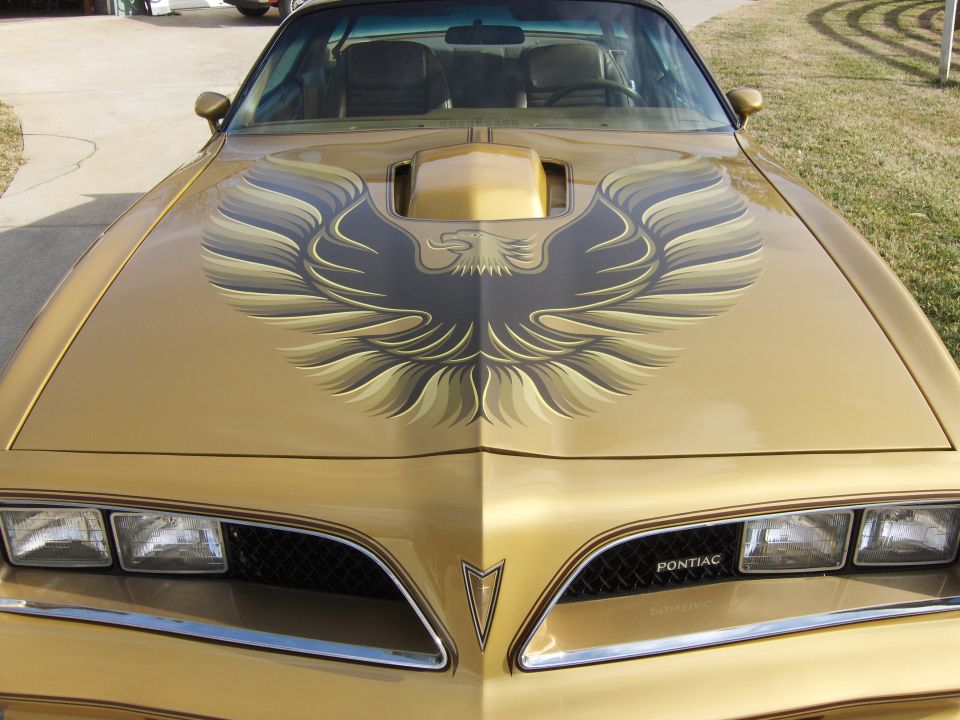 Front of gold Pontiac Trans Am with firebird hood decal and quad headlights