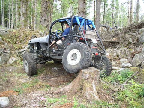 1979 Ford Bronco - This custom buggy navigates a challenging obstacle on a rocky, wooded trail.