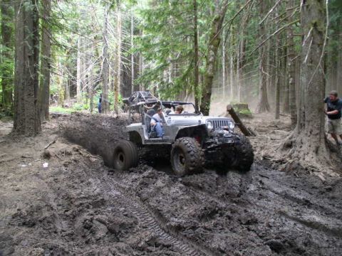 1979 Ford Bronco - A Jeep navigates a challenging muddy path in a dense forest, with trees lining the track.